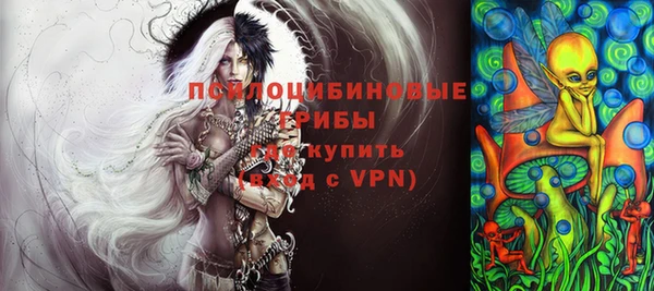 МДПВ Магас